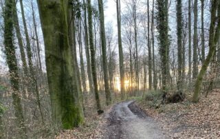 Walk & Gym, Waldweg