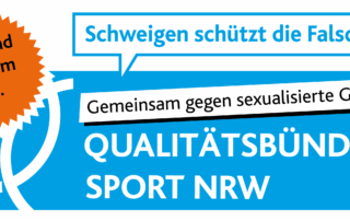 sexualisierte, Gewalt