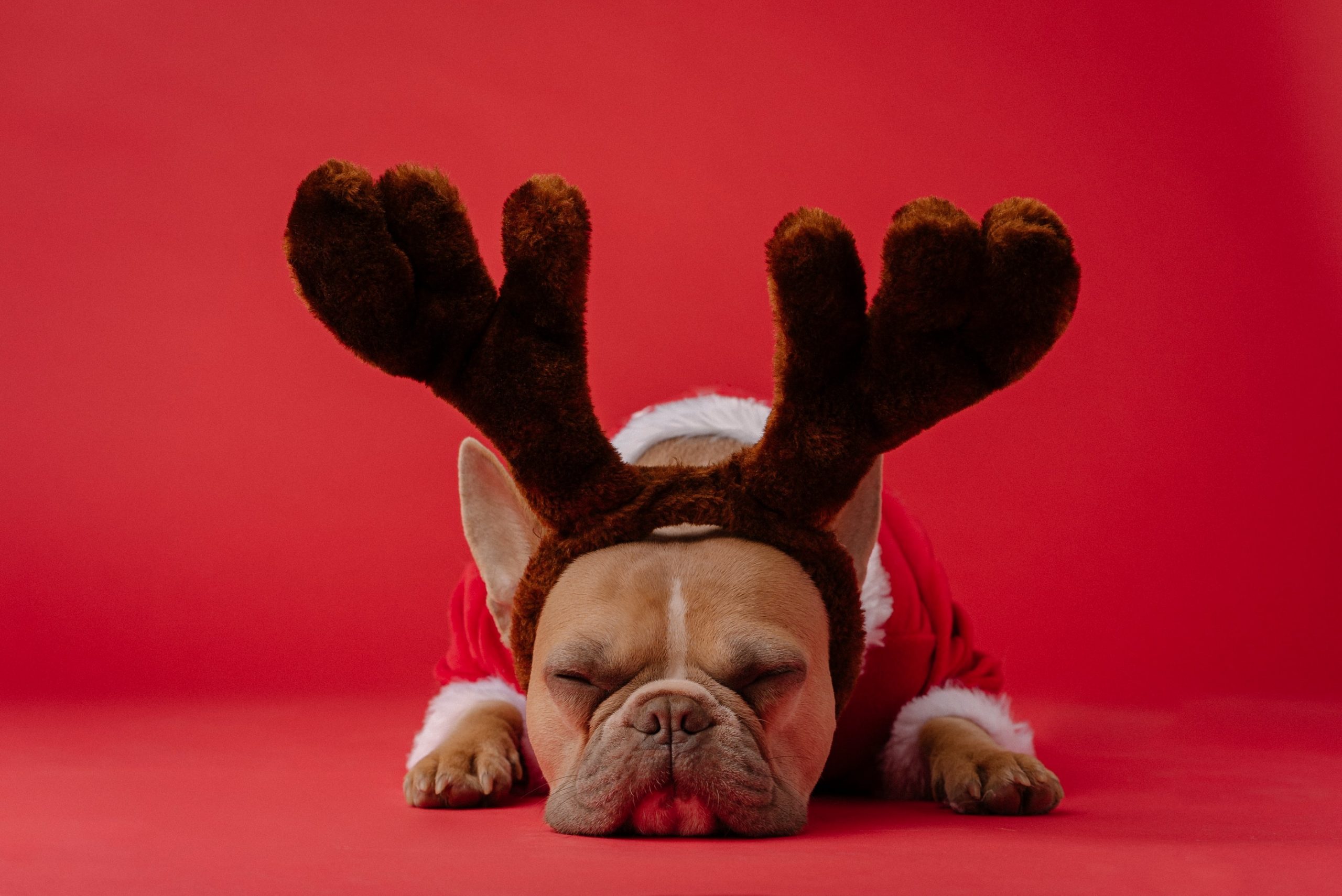 Weihnachten