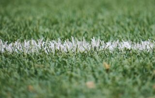 Fußballrasen