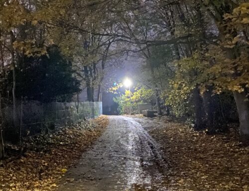 Nachgehakt: St.-Rochus-Weg für Fußgänger gefährlich!